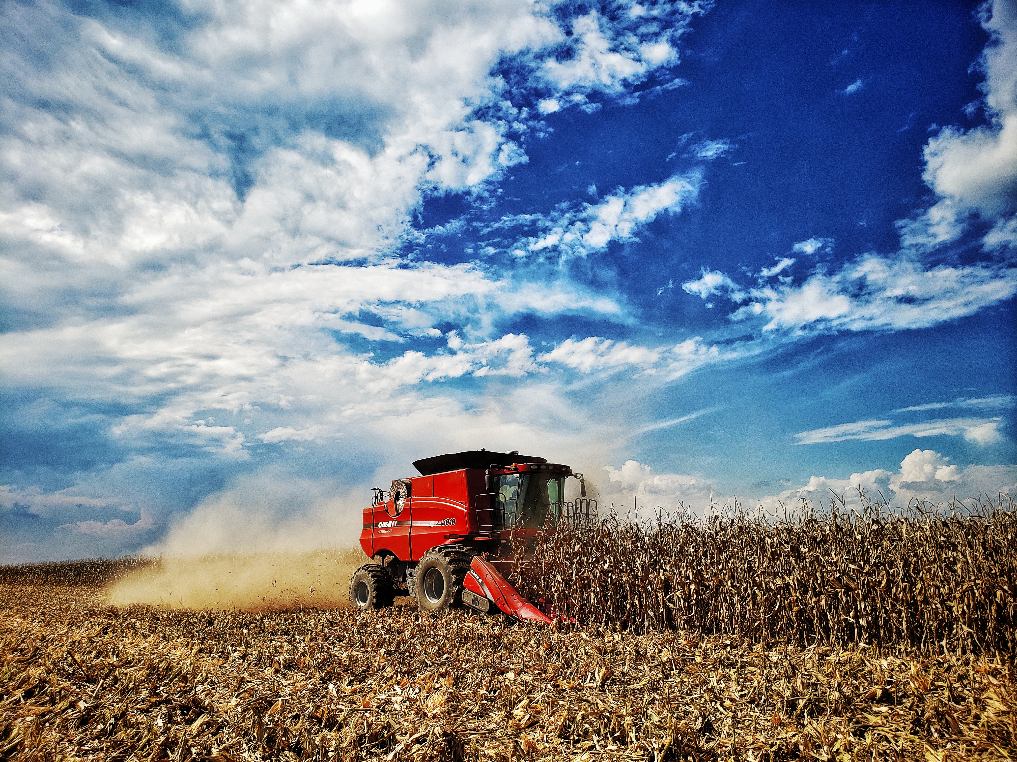 wheat being harvested by red combine in field under blue sky photo part of Circle of Light Photo Project of the Rocky Mountain Lions Eye Bank