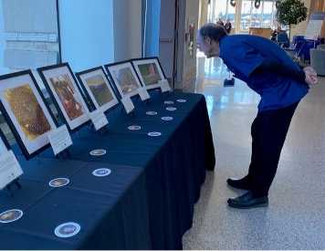 circle of light photo project up close cornea/pupil greenish blue