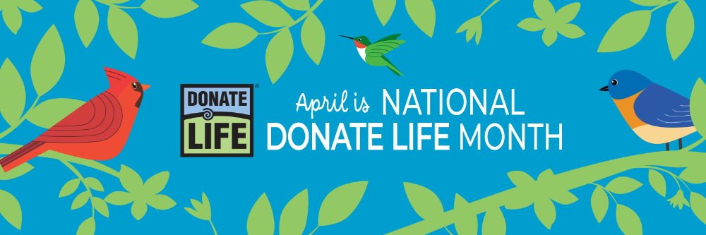 April is national donate life month graphic with donate life logo with red cardinal blue jay green humming bird