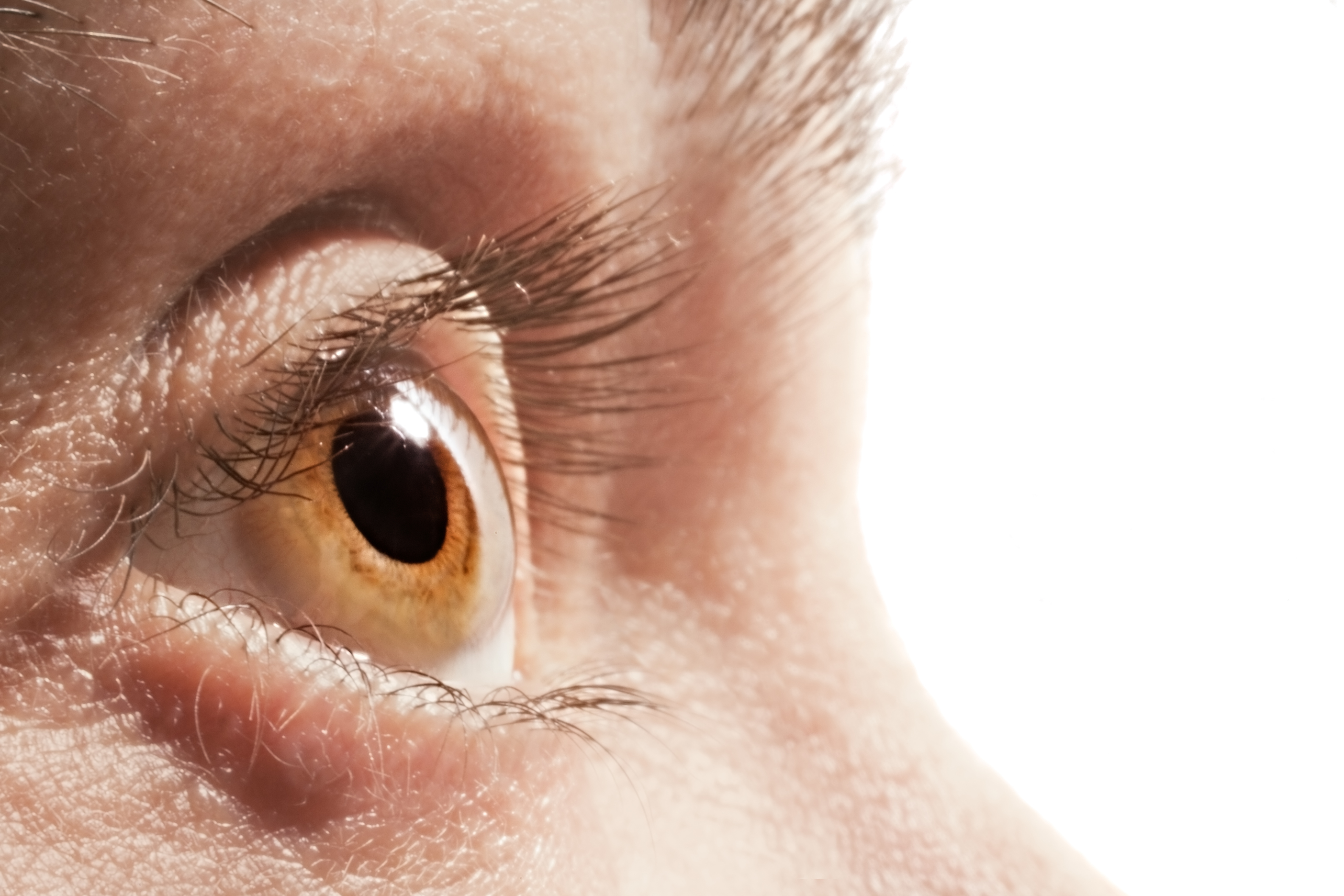 light brown eye up close long lashes looking forward